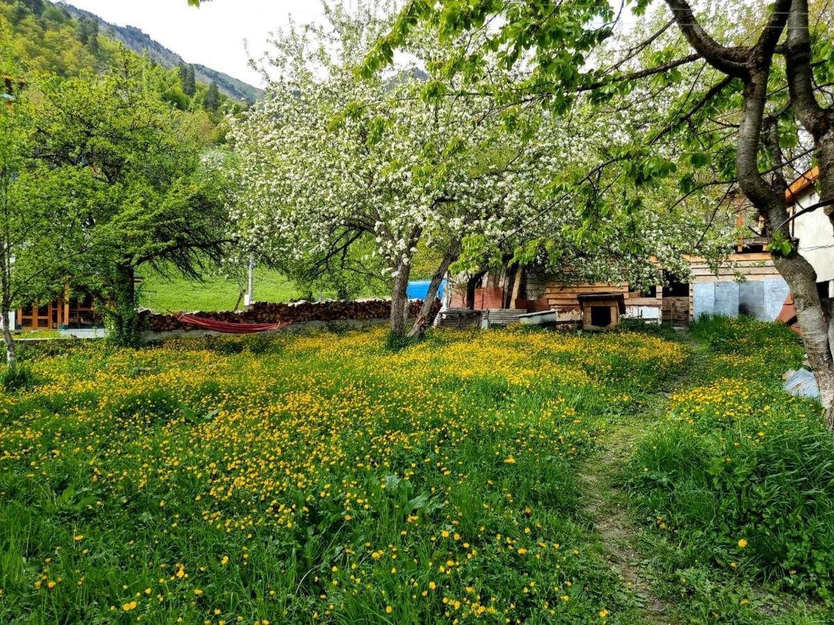 Girgola Bed and Breakfast Mestia Eksteriør billede